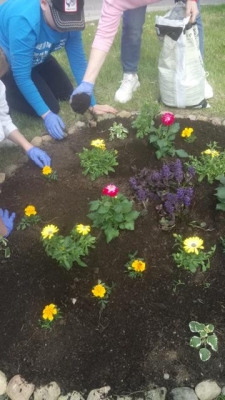 DLA PIĘKNA I KLIMATU