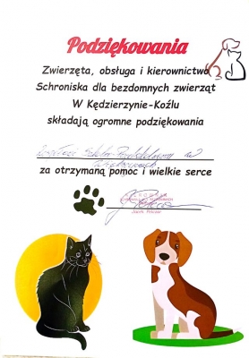 Podsumowanie akcji charytatywnej „Dla zwierzaków od Dzieciaków”