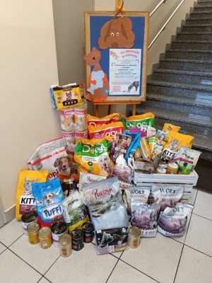 Podsumowanie akcji charytatywnej „Dla zwierzaków od Dzieciaków”