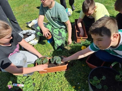 Dzień Ziemi klasy 1-3