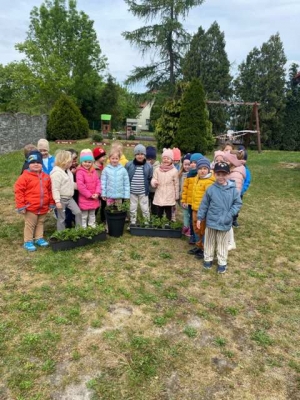 SADZENIE KWIATÓW W PRZEDSZKOLU W WIĘKSZYCACH