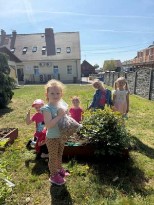 SADZENIE KWIATÓW W PRZEDSZKOLU W WIĘKSZYCACH