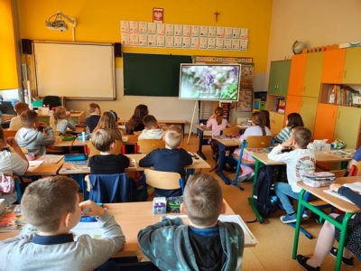 DZIEŃ PSZCZÓŁ W NASZEJ SZKOLE