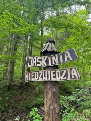 Jaskinia Niedźwiedzia