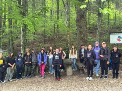 Jaskinia Niedźwiedzia