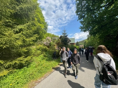 Jaskinia Niedźwiedzia