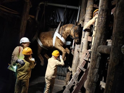 Wycieczka uczniów klas 1–3 do Kopalni Guido i na Arenę Zabrze!