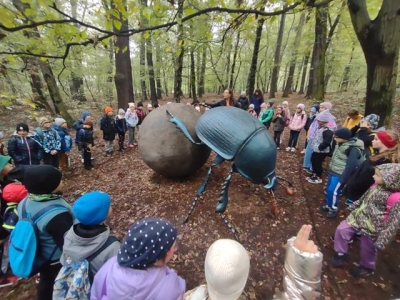 Klasa w terenie 2024/2025