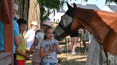 POŻEGNANIE NA ŁONIE NATURY