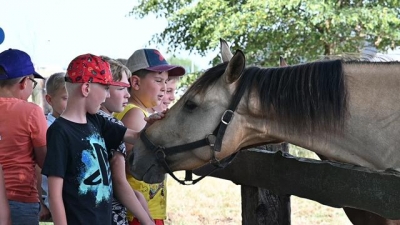 POŻEGNANIE NA ŁONIE NATURY