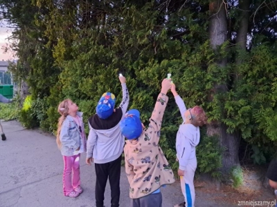 Wieczorny piknik Pszczółek