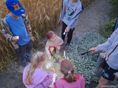 Wieczorny piknik Pszczółek