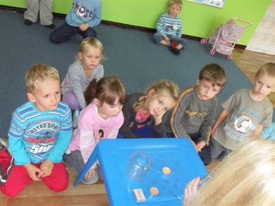 zaczarowany zajaczek_1