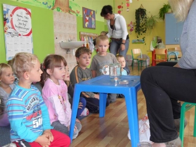 zaczarowany zajaczek_2