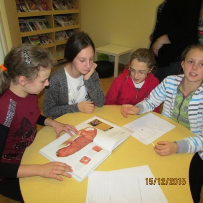 lodowisko i biblioteka_5